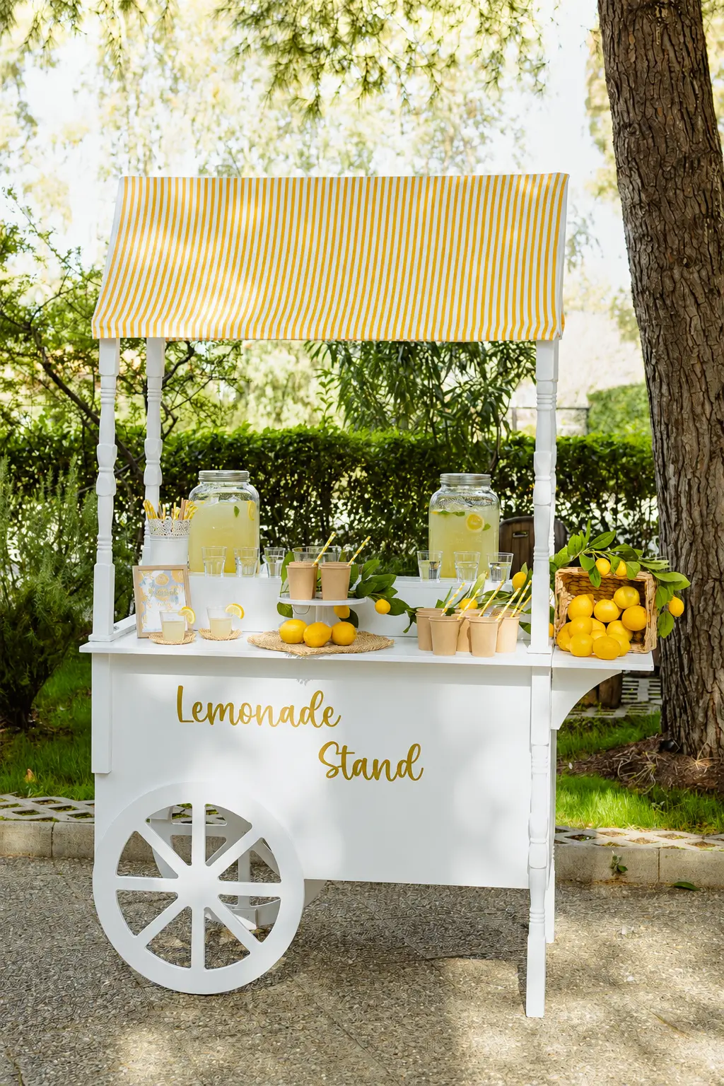 Signature Lemonade Stand